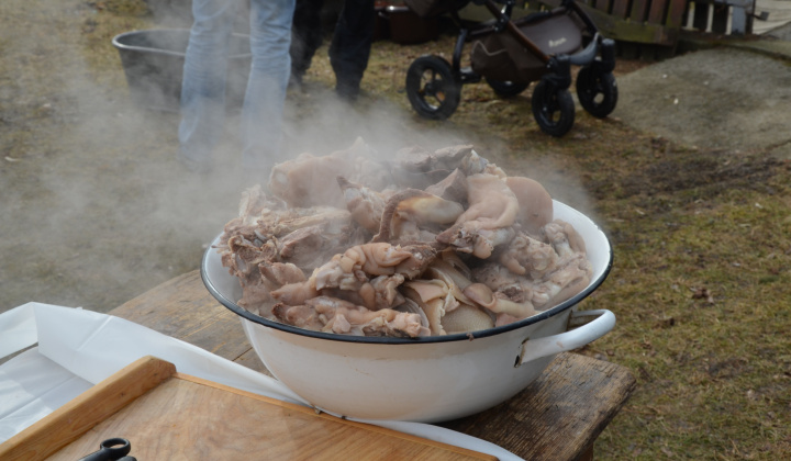 2. fotografia fotogalérie Dedinská zabíjačka   2.marca 2019