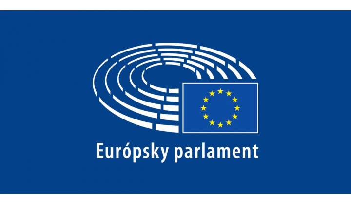 Voľby do Európskeho parlamentu v roku 2024