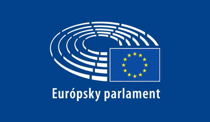 Fotka - Voľby do Európskeho parlamentu v roku 2024
