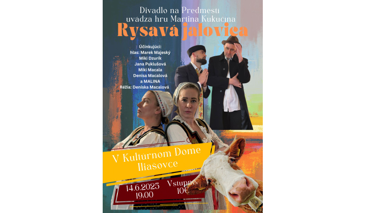 Rysavá jalovica v Iliašovciach :-) 14.júna 2025 