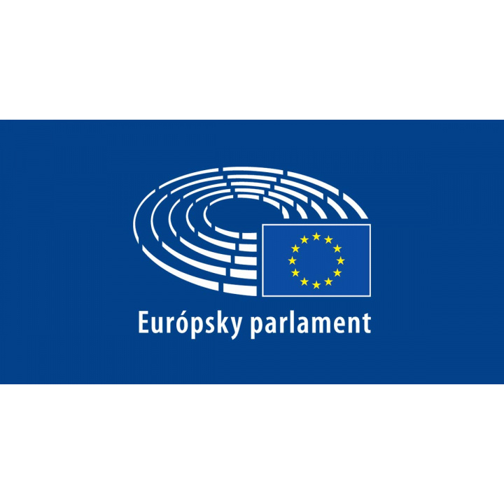 Voľby do Európskeho parlamentu v roku 2024 